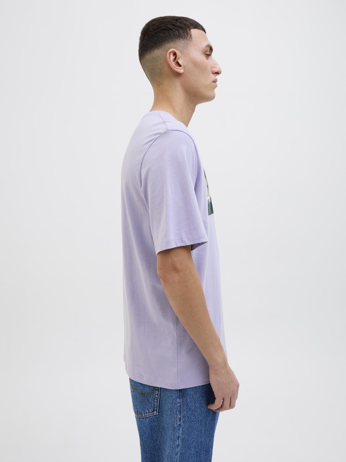 model_shot-detail