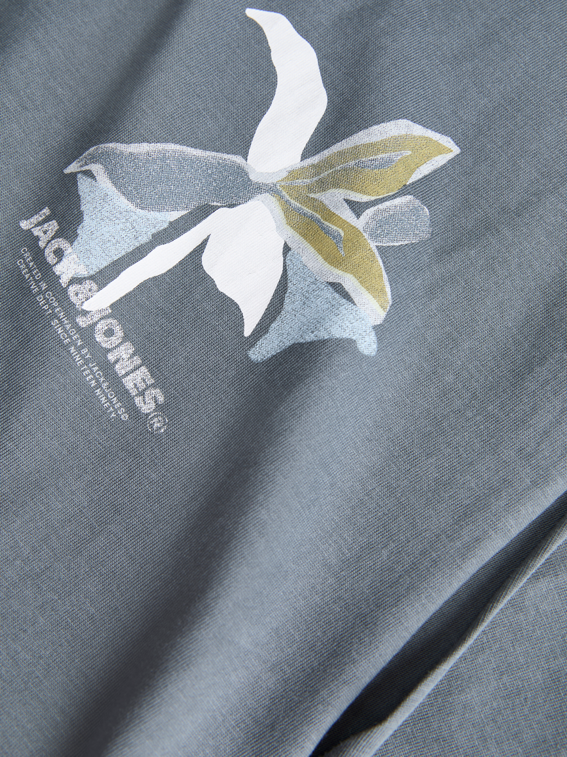 model_shot-detail