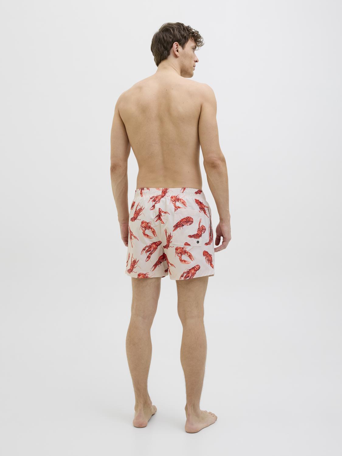 model_shot-back