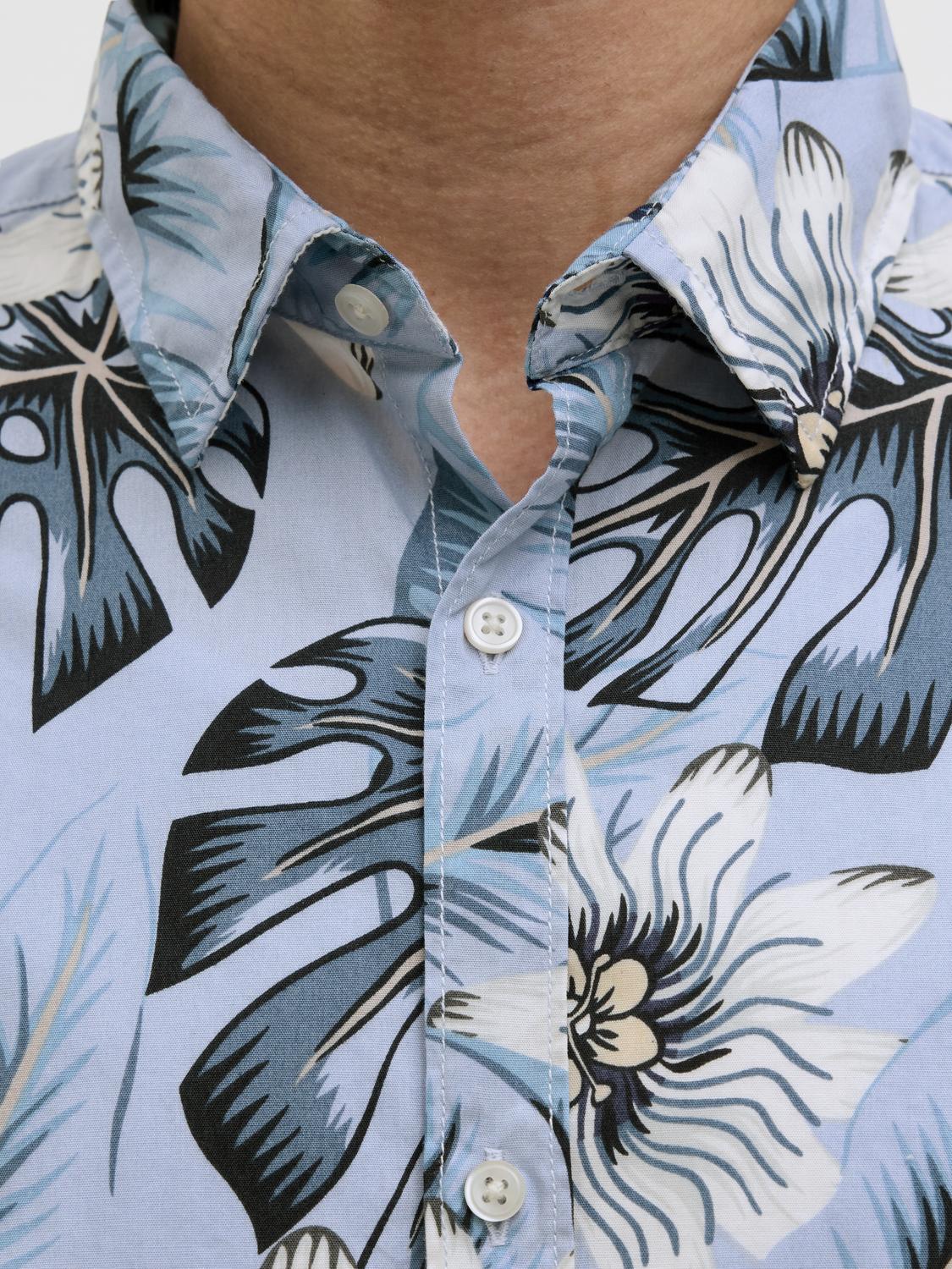 model_shot-detail