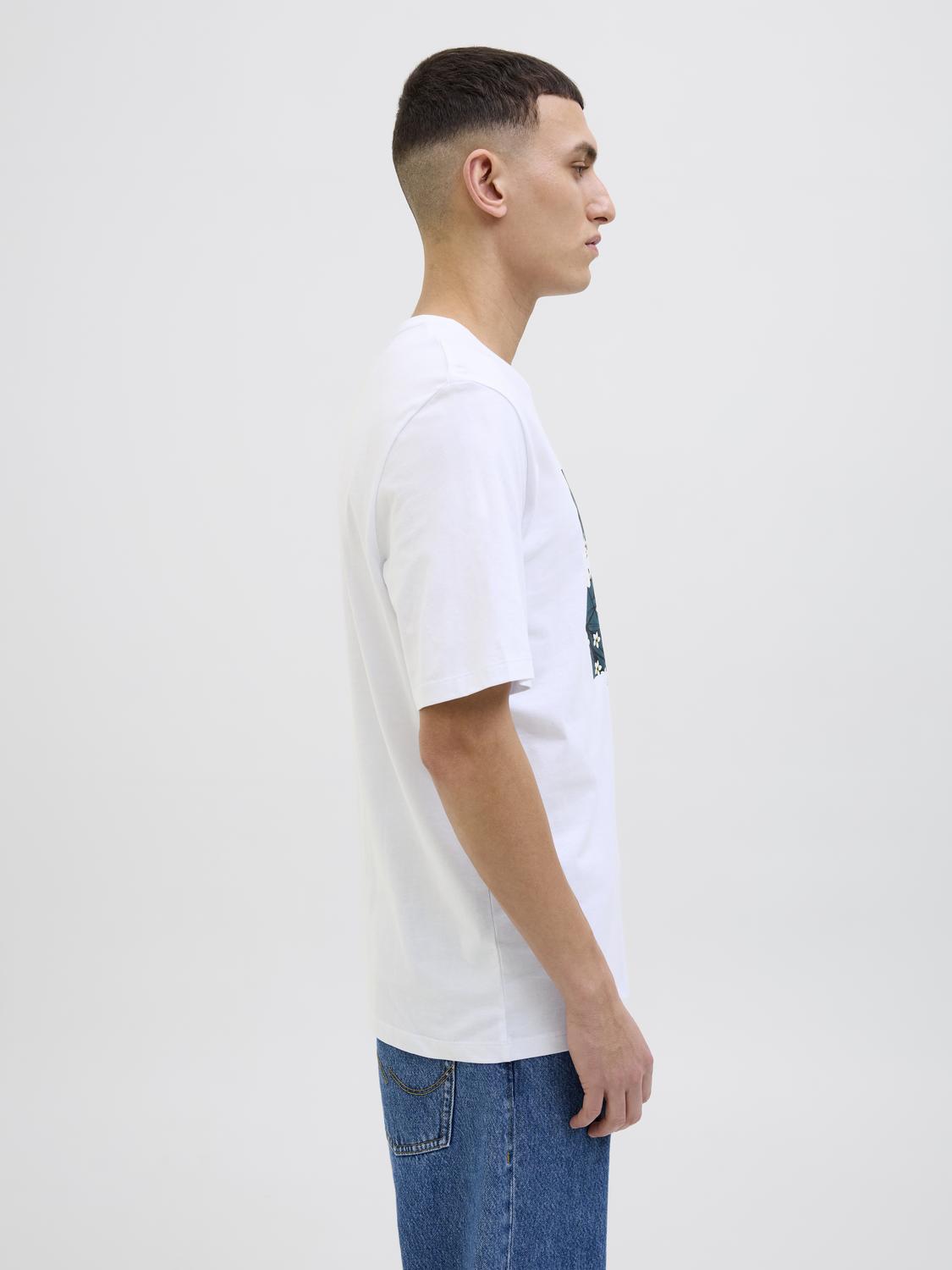 model_shot-detail