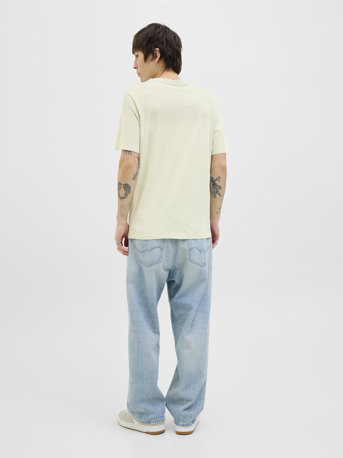 model_shot-back