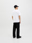 model_shot-back