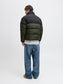 model_shot-back