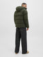 model_shot-back