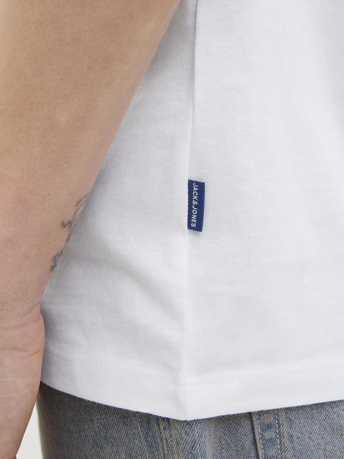 model_shot-detail
