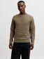 model_shot-front