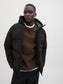 model_shot-creative