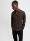 model_shot-creative