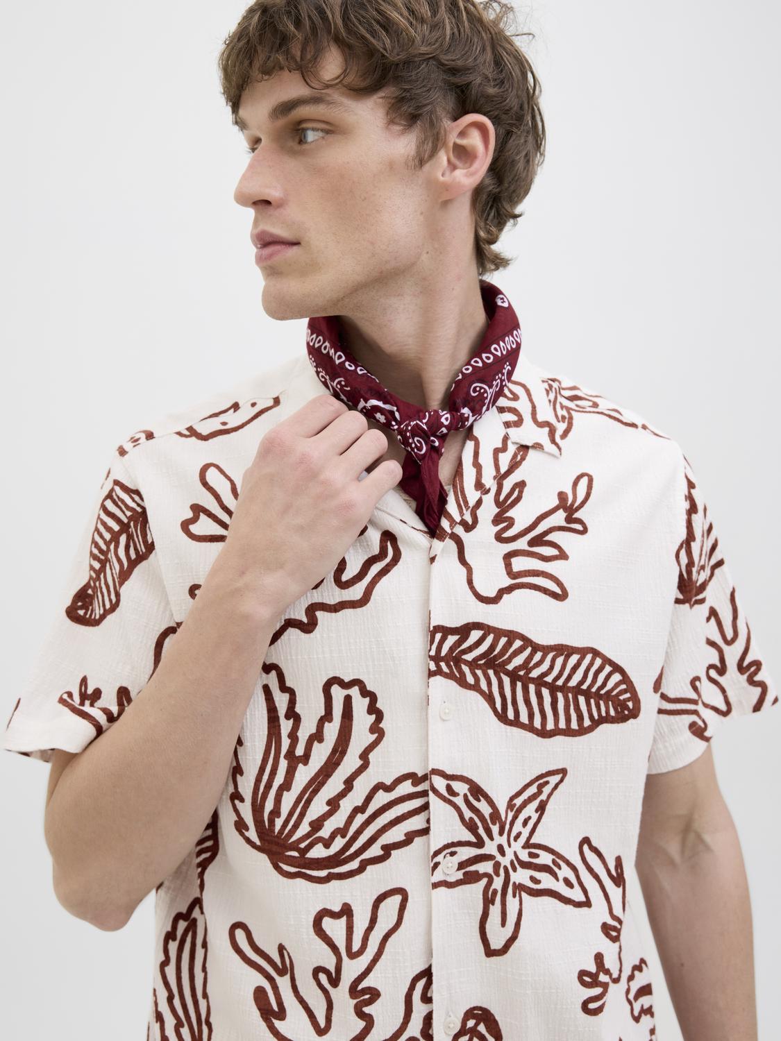 model_shot-creative
