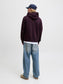 model_shot-back