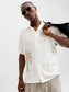 model_shot-creative