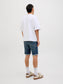 model_shot-back