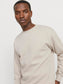 model_shot-creative