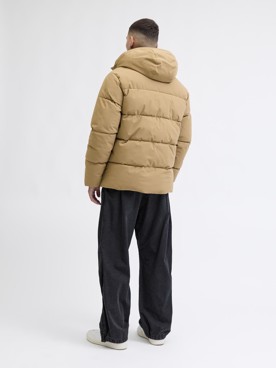 model_shot-back