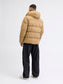 model_shot-back