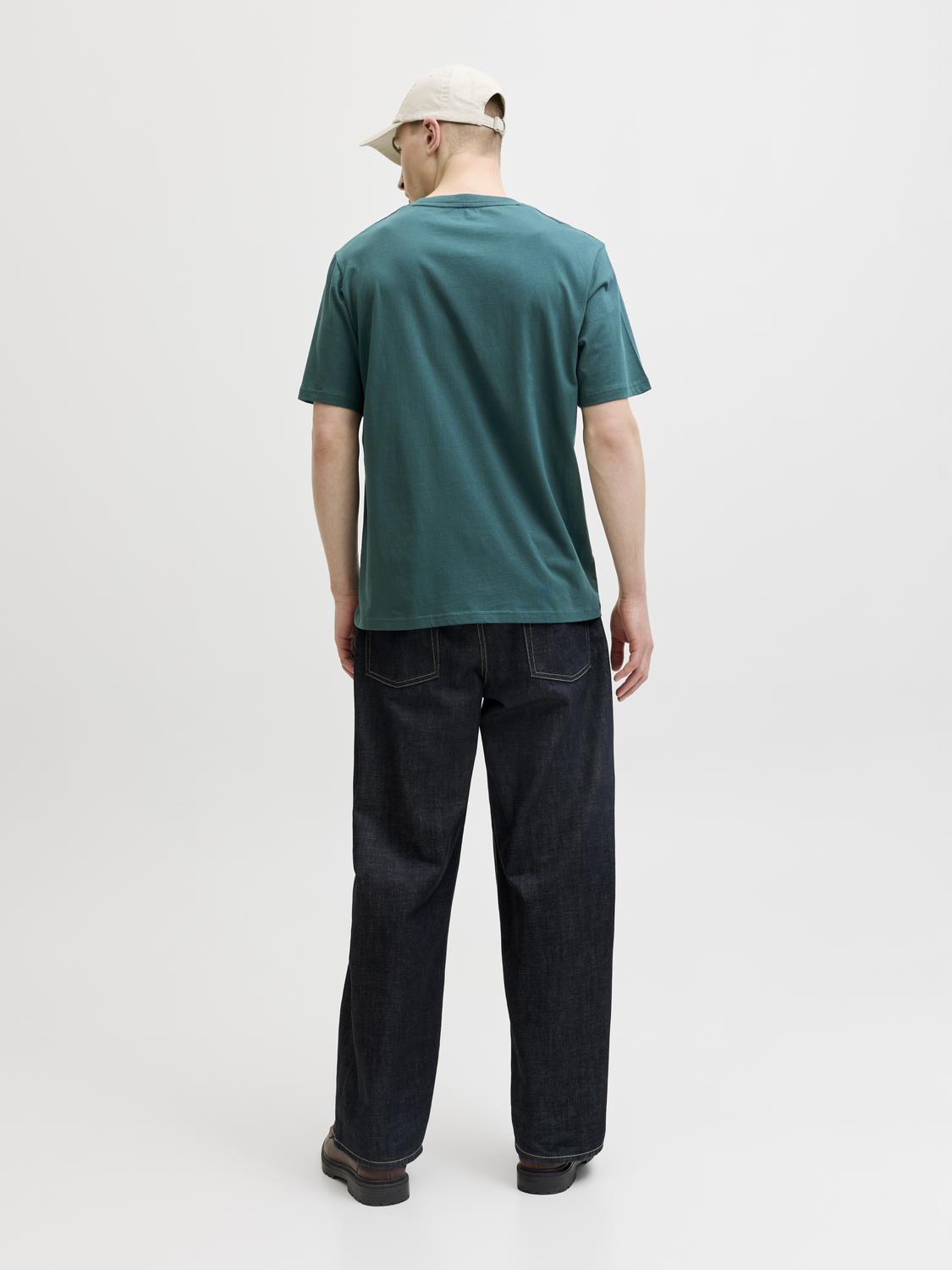 model_shot-back