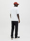 model_shot-back