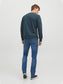 model_shot-back
