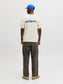 model_shot-back