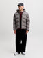 model_shot-front_full