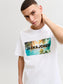 model_shot-creative
