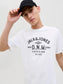 model_shot-creative
