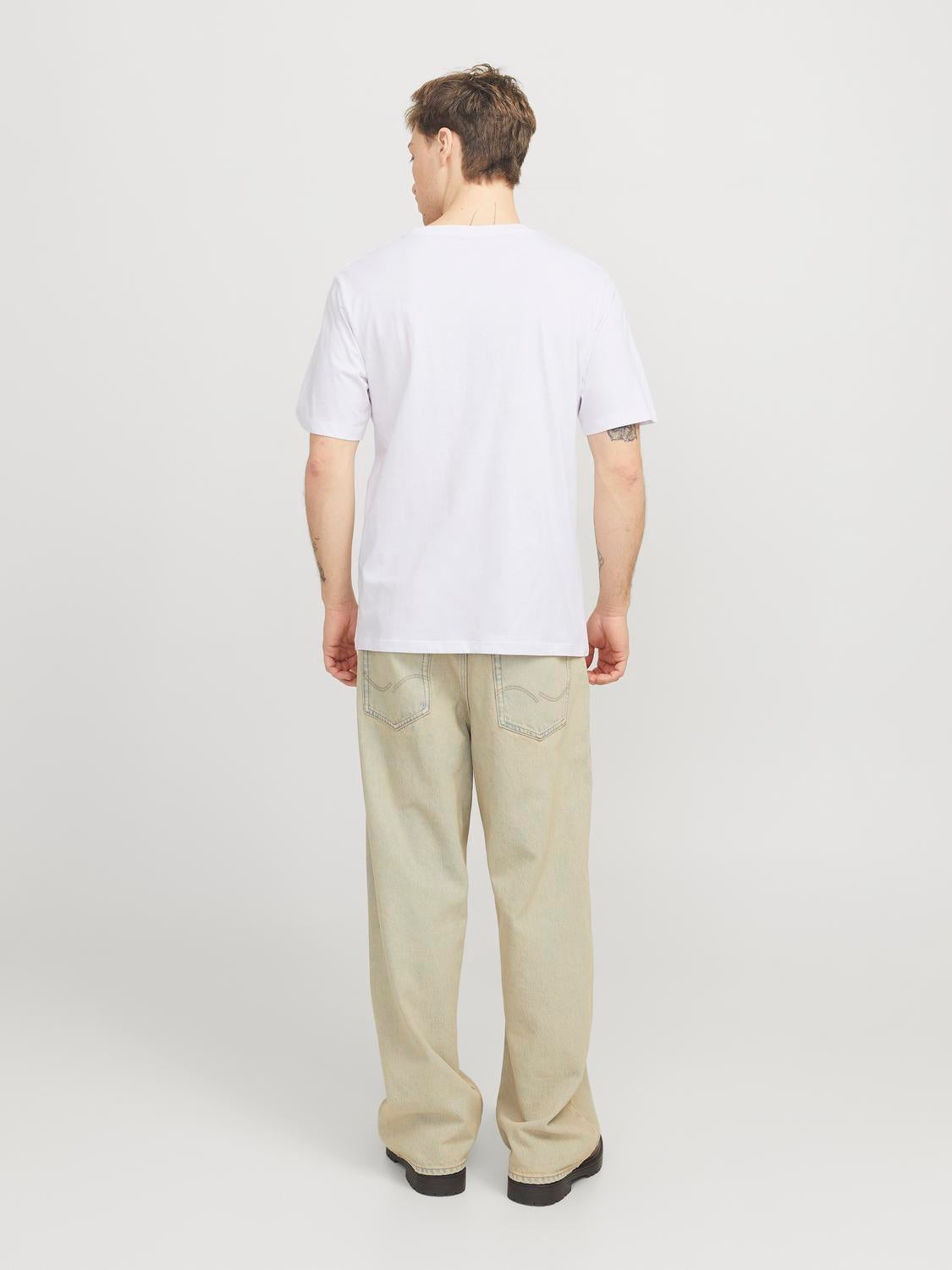 model_shot-back