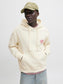 model_shot-creative