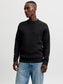 model_shot-front