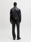 model_shot-back