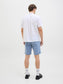 model_shot-back