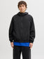 model_shot-front
