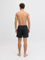 model_shot-back