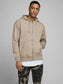 model_shot-front