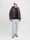 model_shot-front_full