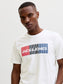 model_shot-creative