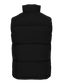 pack_shot-back