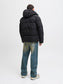 model_shot-back
