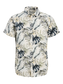 pack_shot-front