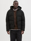 model_shot-front