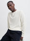 model_shot-creative