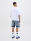 model_shot-back