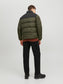 model_shot-back