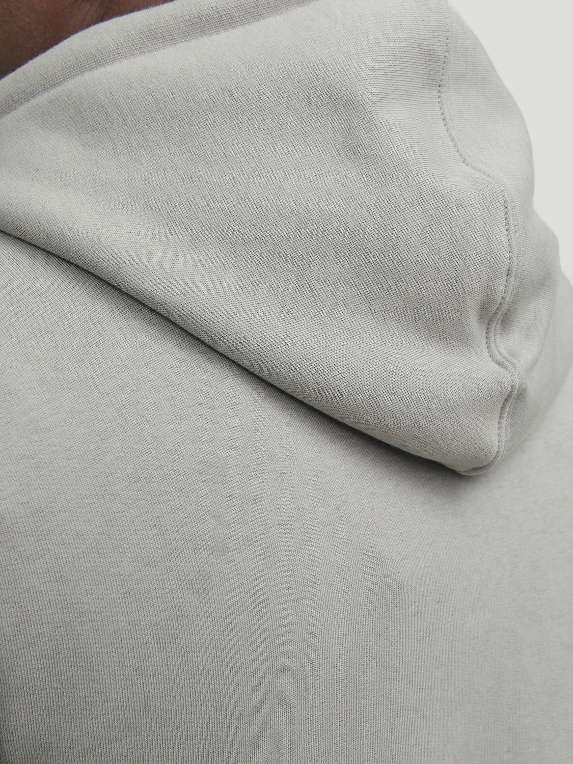 model_shot-detail