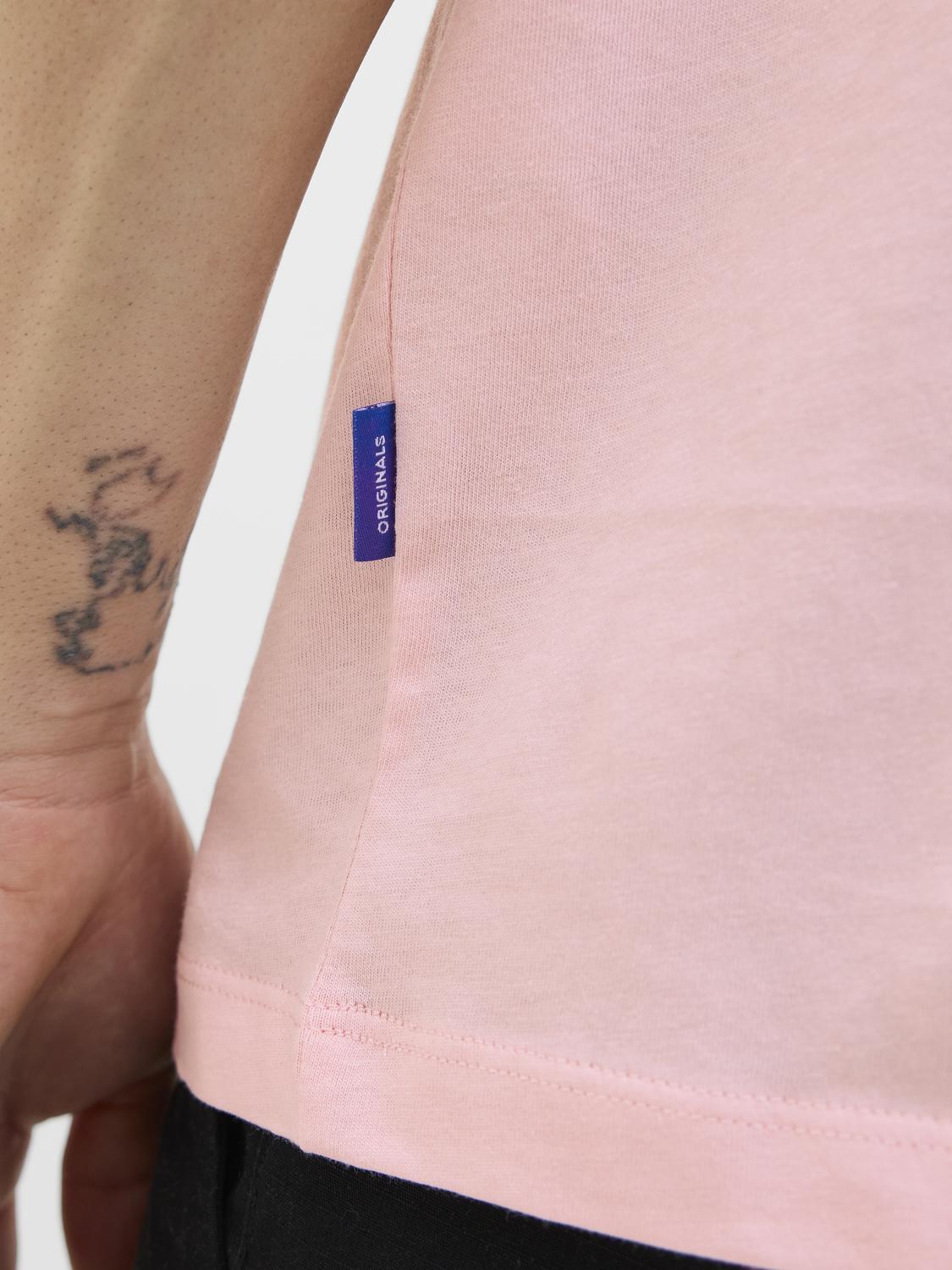 model_shot-detail