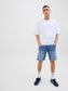 model_shot-creative
