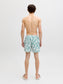 model_shot-back
