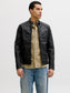 model_shot-front