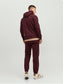 JJEJOSH SWEAT HOOD NOOS - Port Royale